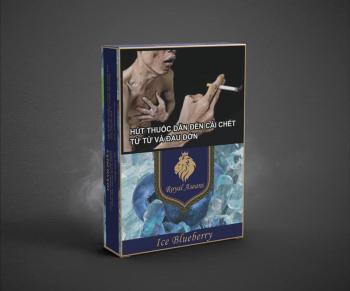 Thuốc Shisha Vị Vệt Quất Lạnh (50g)